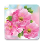 spring flowers live wallpaper android application logo